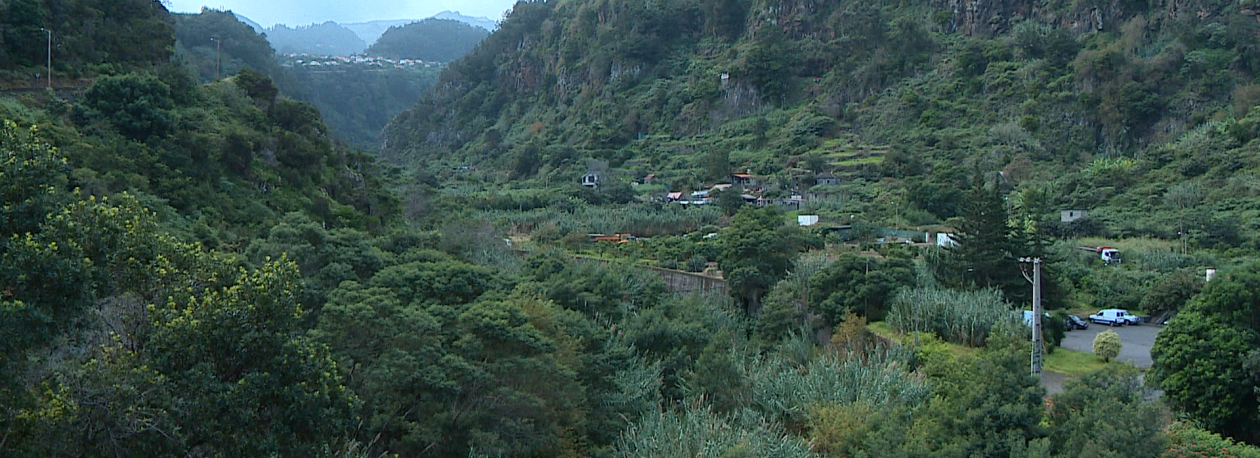 Imagem de Governo vai gastar 36 milhões em terrenos para o golfe (vídeo)