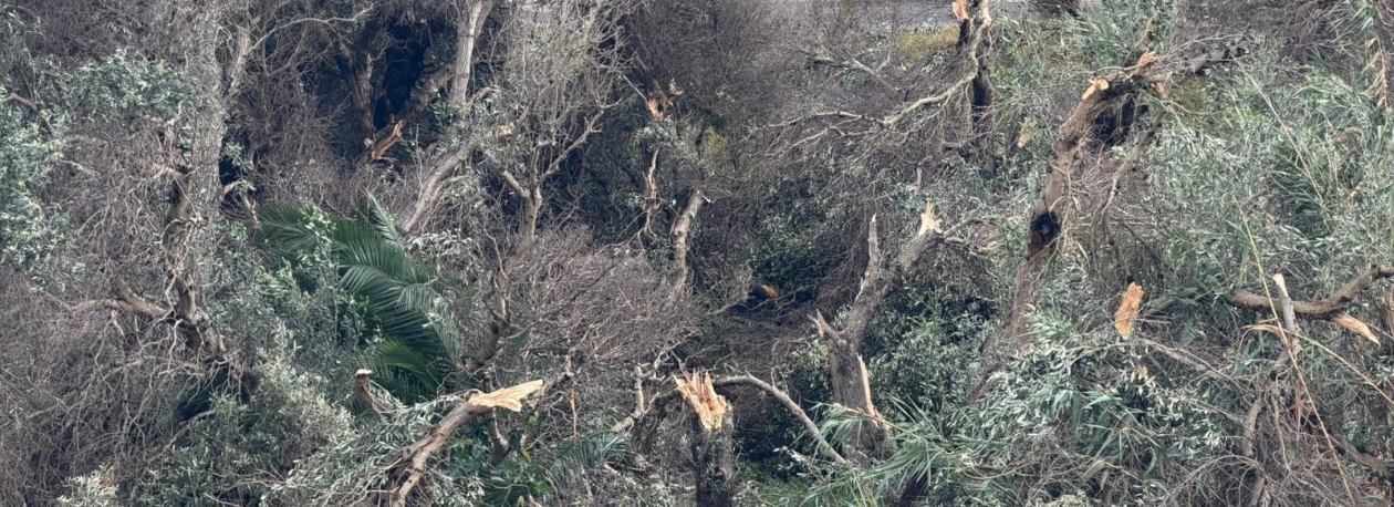 Imagem de Tornado provocou mais de 20 ocorrências no Porto Santo (vídeo)