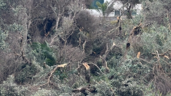 Imagem de Tornado provocou mais de 20 ocorrências no Porto Santo (vídeo)