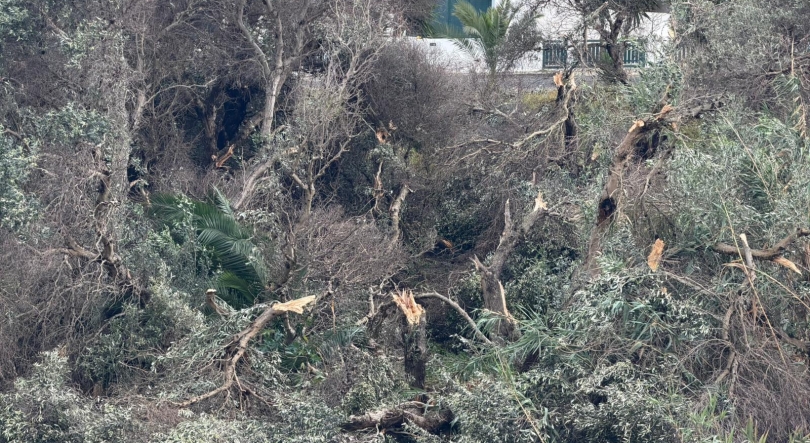 Imagem de Tornado provocou mais de 20 ocorrências no Porto Santo (vídeo)
