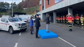 Imagem de Governo Regional quer criar faixas corta fogo permanentes (vídeo)