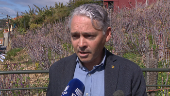 Imagem de JPP exige 70 cêntimos por quilo de cana-de-açúcar (vídeo)