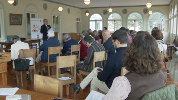 Imagem de Envolvimento dos leigos em destaque na Assembleia Sinodal (vídeo)