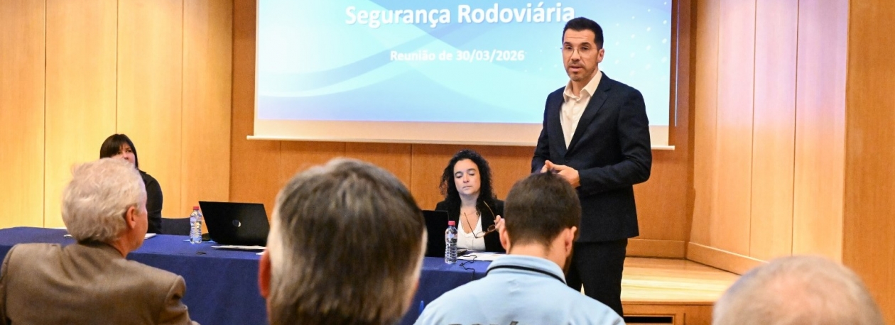 Imagem de Velocidade e álcool em cima da mesa no Conselho da Prevenção Rodoviária (áudio)