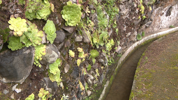 Imagem de Cerca de 500 regantes beneficiam de investimento a rondar um milhão de euros (vídeo)