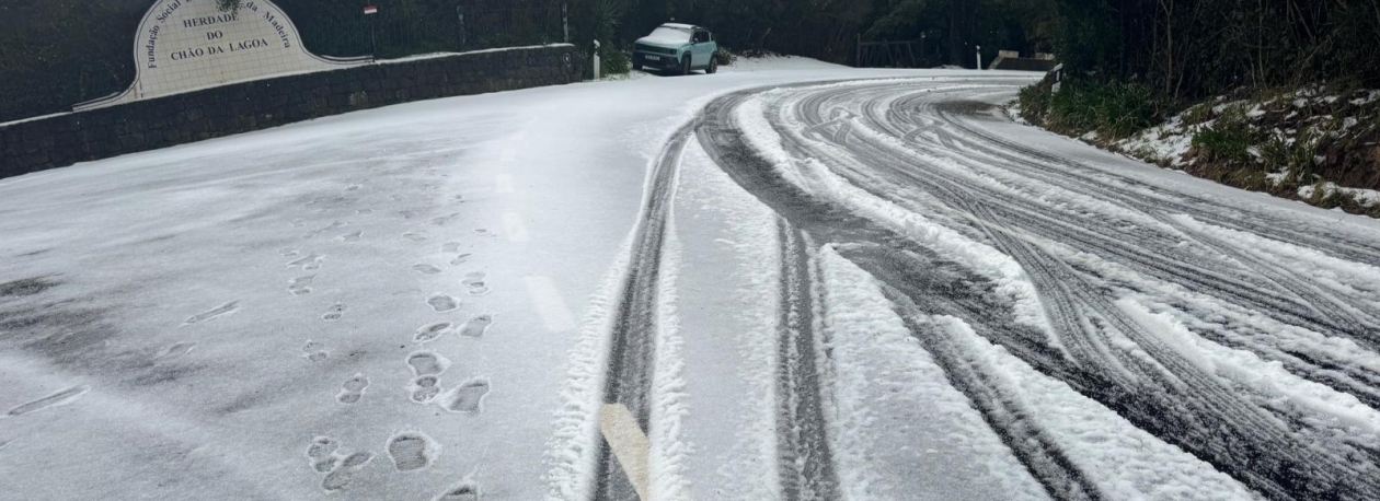 Imagem de Madeira acordou pintada de branco (vídeo)