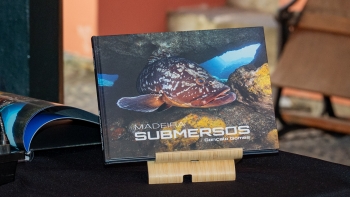 Imagem de Beleza e diversidade dos mares da Madeira retratadas em livro (áudio)