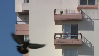 Imagem de Vendas de “meia casa” pontuais na Madeira (vídeo)