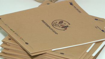 Imagem de Madeira pode ser afetada pela nova mosca da fruta (vídeo)