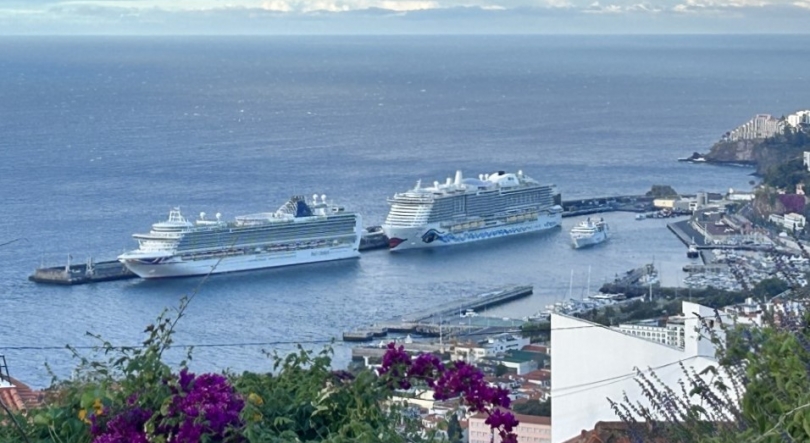 Imagem de Porto do Funchal a movimentar perto de 13 mil passageiros