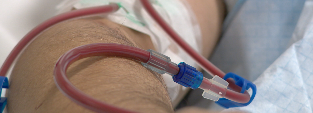 Imagem de 45 doentes à espera de transplante renal na Madeira (vídeo)