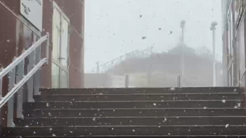 Imagem de Neve cai nos pontos mais altos da Madeira (vídeo)