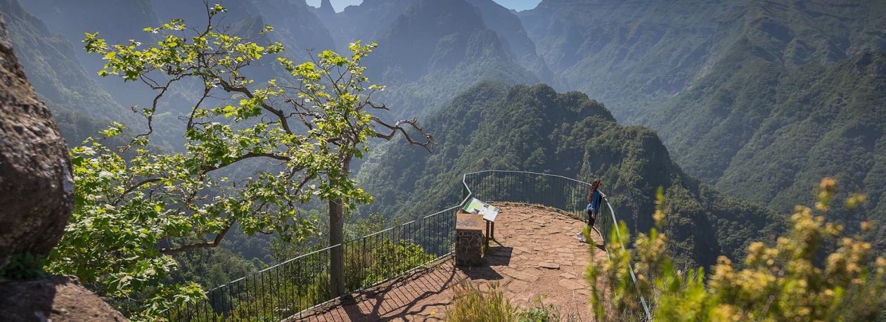 Imagem de Turista croata encontrado morto após desaparecimento em Santana
