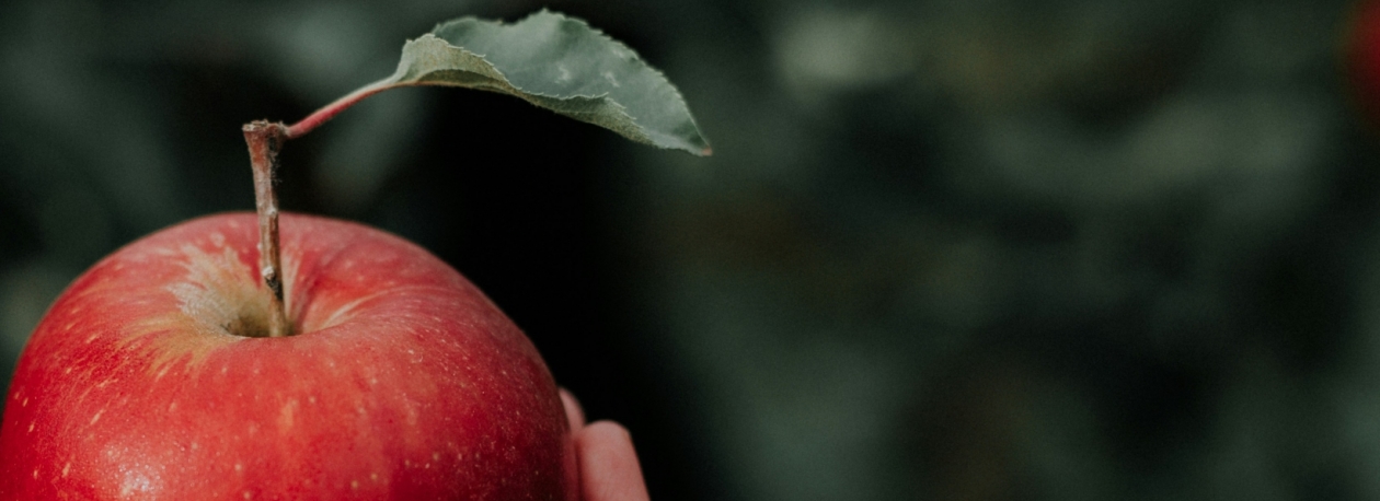 Imagem de Parlamento divide-se sobre venda de comida saudável em máquinas automáticas (áudio)