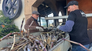 Imagem de “O Reizinho” já começou a laborar (vídeo)