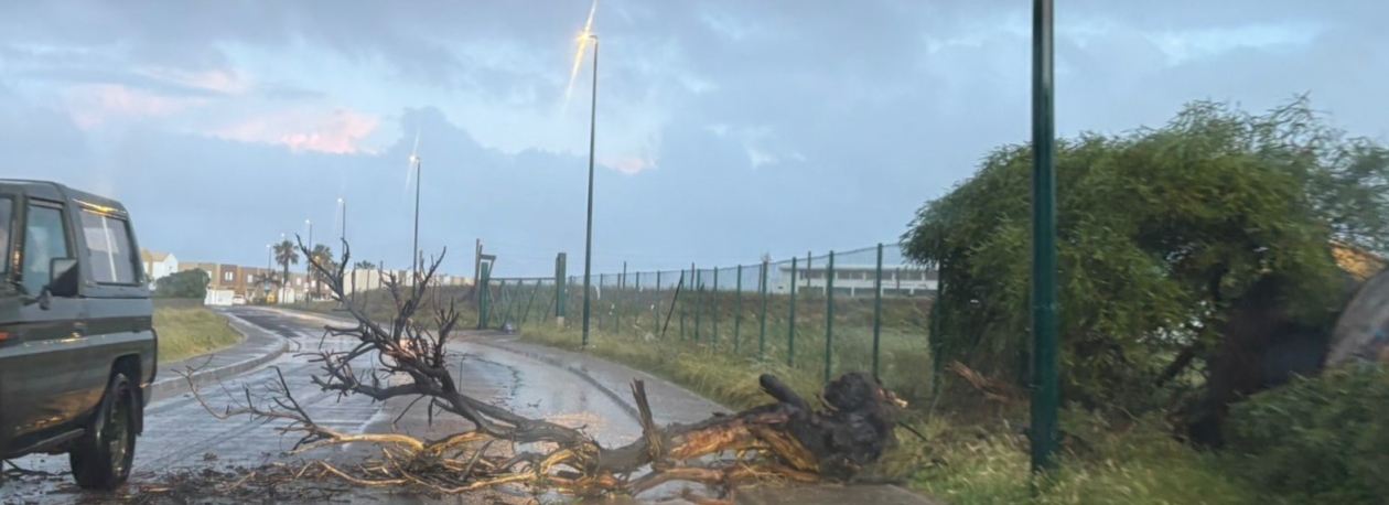 Imagem de Tornado repentino causa estragos no Porto Santo (vídeo)