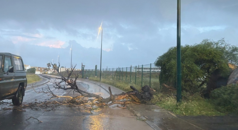 Imagem de Tornado repentino causa estragos no Porto Santo (vídeo)