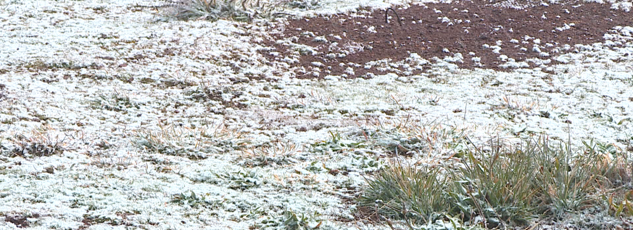 Imagem de Quantidade de neve abaixo do previsto (vídeo)