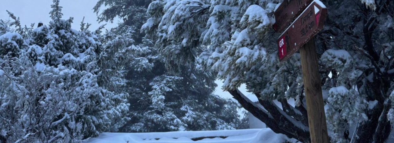 Imagem de Trilhos voltam a estar transitáveis a partir de amanhã