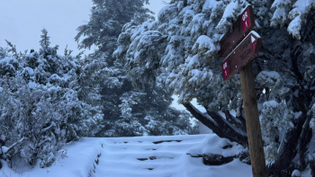Imagem de Trilhos voltam a estar transitáveis a partir de amanhã