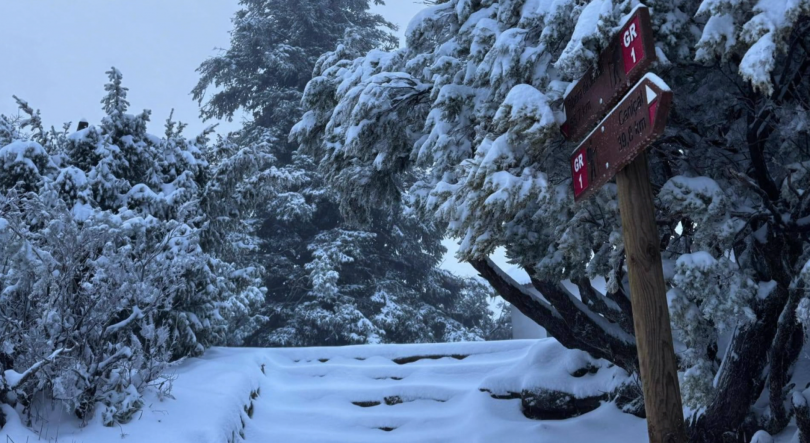 Imagem de Trilhos voltam a estar transitáveis a partir de amanhã