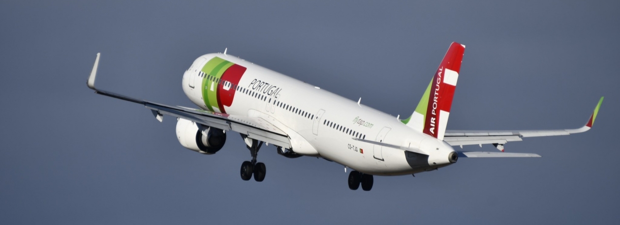 Imagem de Parlamento aprovou fim dos tetos máximos (vídeo)