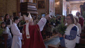Imagem de Bispo do Funchal assinala Domingo de Ramos com apelo à paz (vídeo)
