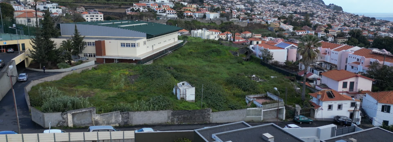 Imagem de 65 terrenos públicos limpos com vista à prevenção de incêndios (vídeo)