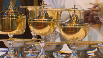 Imagem de Igreja vai pagar entre 9 mil e 45 mil euros às vítimas de abusos (vídeo)