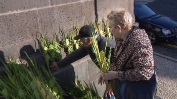 Imagem de Fiéis aderem à tradição dos ramos no Domingo de Ramos (vídeo)
