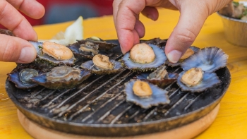 Imagem de Apanha da lapa regressa a 1 de junho (vídeo)