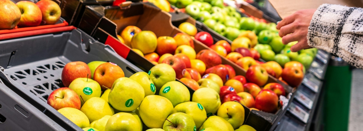 Imagem de Cabaz alimentar ultrapassa 260 euros e atinge novo máximo