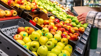 Imagem de Cabaz alimentar ultrapassa 260 euros e atinge novo máximo