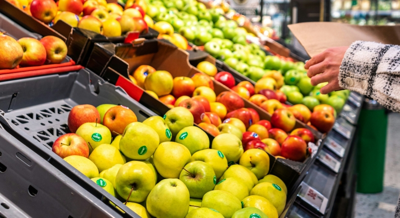 Imagem de Cabaz alimentar ultrapassa 260 euros e atinge novo máximo