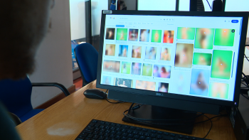 Imagem de Não houve acordo para novas leis europeias sobre a proteção de crianças (vídeo)