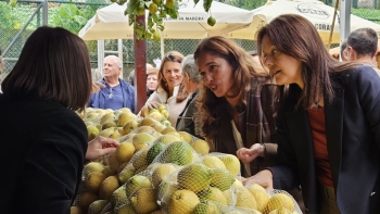 Imagem de PS defende estatuto de agricultura familiar (vídeo)