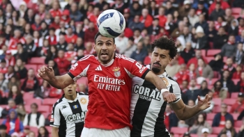 Imagem de Nacional perde com Benfica na Luz