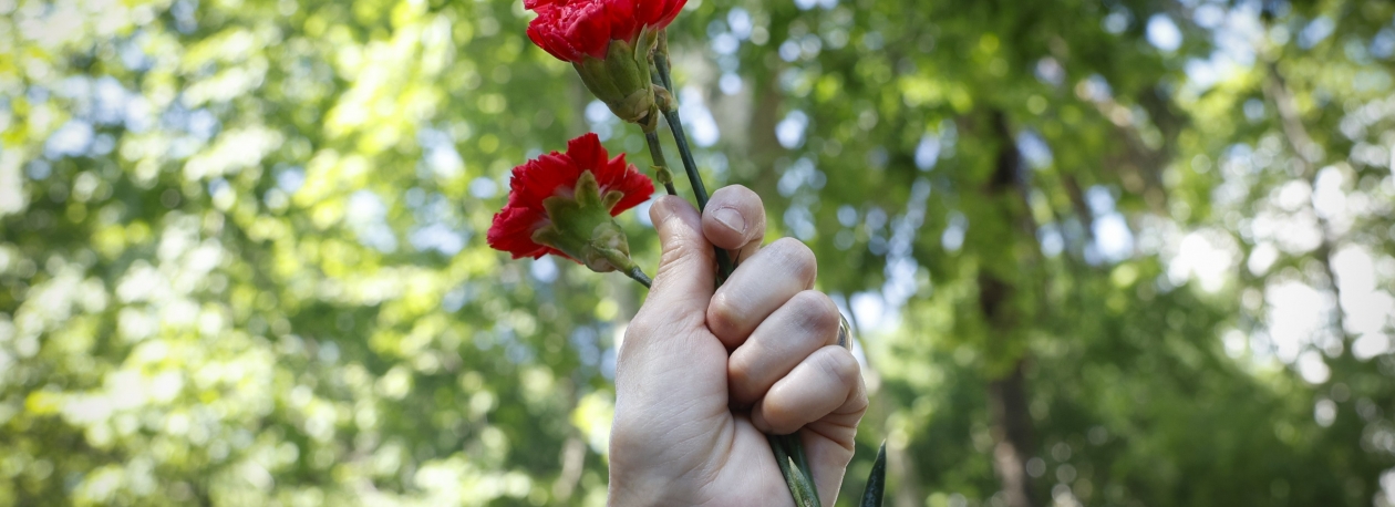 Imagem de Centenas de madeirenses celebraram o 25 de Abril no Funchal (vídeo)