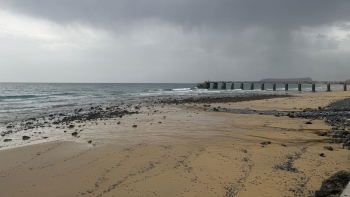 Imagem de Porto Santo acelera transição digital (áudio)