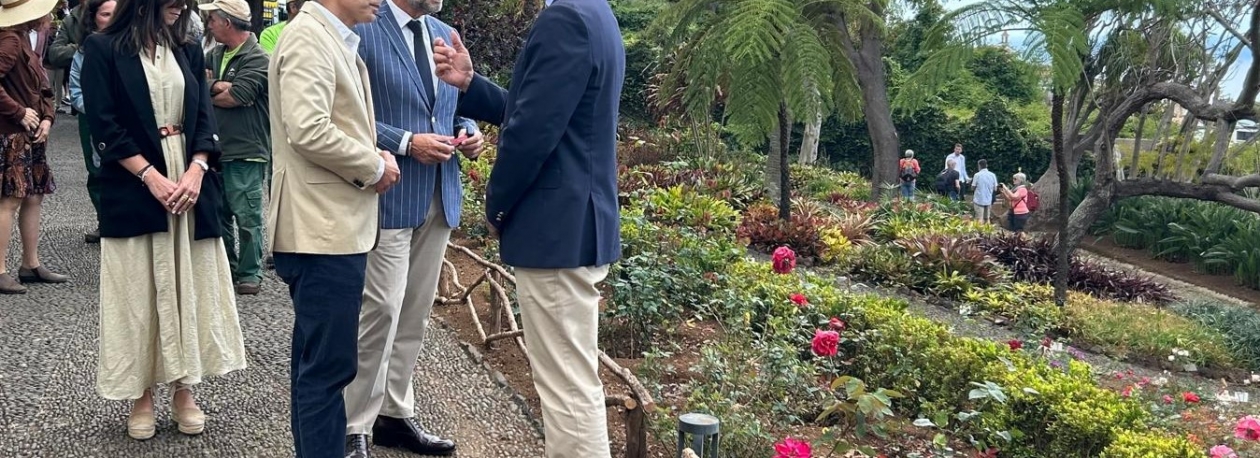 Imagem de Albuquerque mantém a confiança em Montenegro (vídeo)