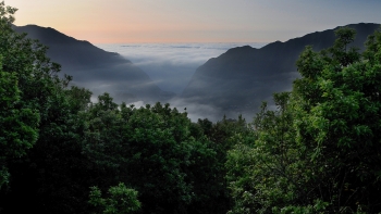 Imagem de Relatório da UNESCO aborda incêndios em áreas da Laurissilva (áudio)