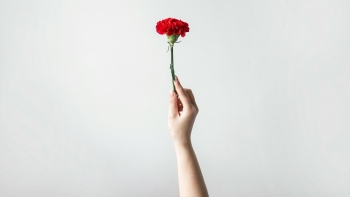 Imagem de 25 de Abril assinalado no parlamento (áudio)