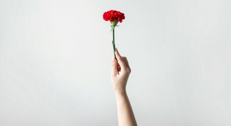 Imagem de 25 de Abril assinalado no parlamento (áudio)