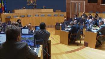 Imagem de Madeira permite divisão de terrenos em parcelas de 500 metros quadrados (vídeo)