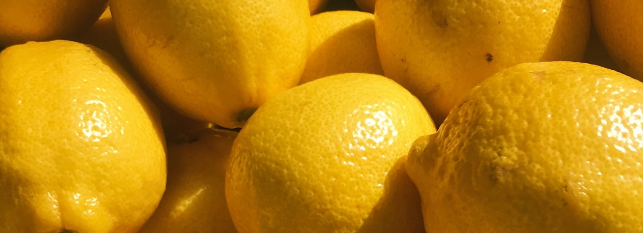 Imagem de Exposição Regional do Limão regressa à Ilha com 600 expositores (áudio)