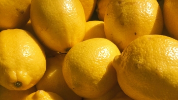 Imagem de Exposição Regional do Limão regressa à Ilha com 600 expositores (áudio)