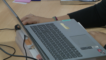 Imagem de Madeira contava com quase 38 mil empresas não financeiras em 2024