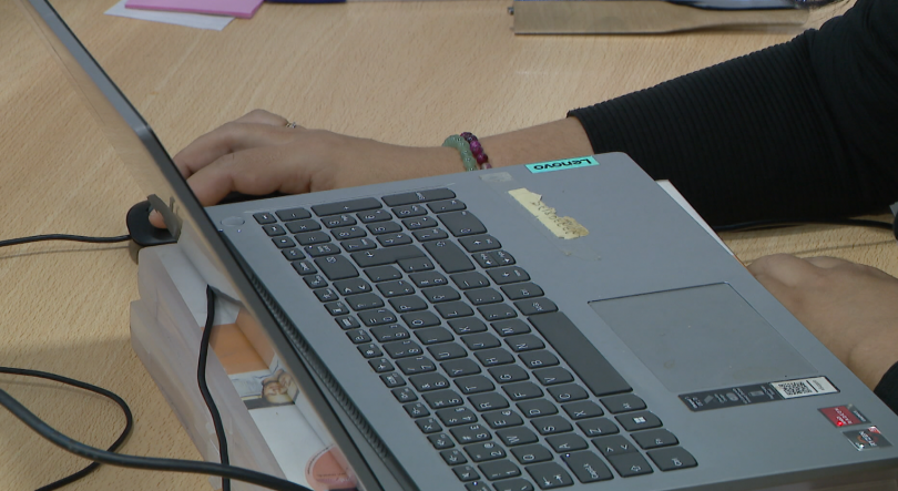 Imagem de Madeira contava com quase 38 mil empresas não financeiras em 2024