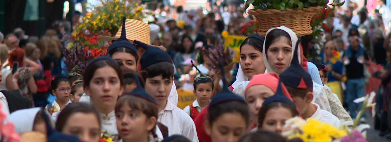 Imagem de Festa da Flor arranca estende-se até 31 de maio (vídeo)