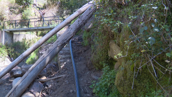 Imagem de Vereda condicionada por eucaliptos preocupa agricultores (vídeo)